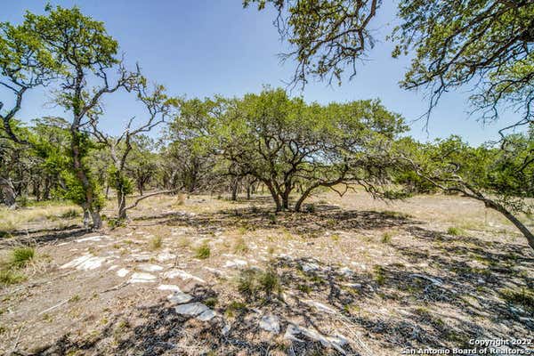 725 LIVE OAK RIDGE RD, BULVERDE, TX 78163, photo 4 of 8