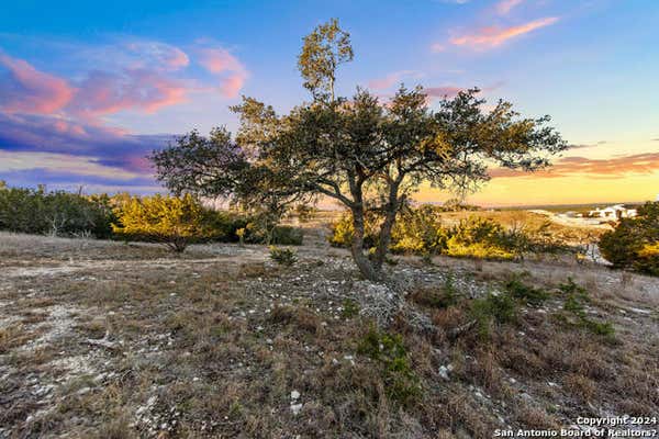 1069 PURPLE SAGE TRL E, BLANCO, TX 78606 - Image 1