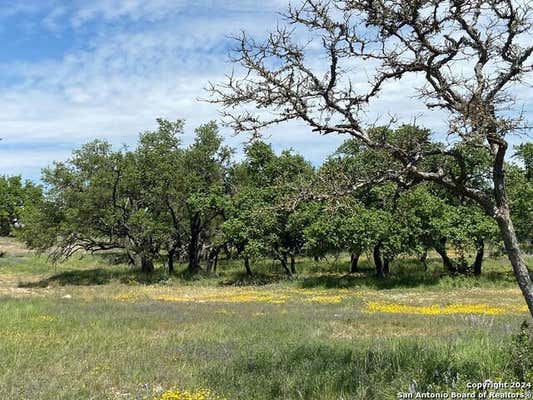 TBD TAURUS LN TAURUS, JUNCTION, TX 76849 - Image 1