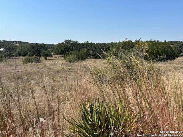 134 GEORGE DOLSON, BLANCO, TX 78606, photo 1 of 17