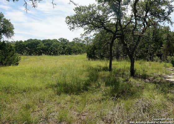 34753 CARRIES CREEK DR, BULVERDE, TX 78163, photo 5 of 37