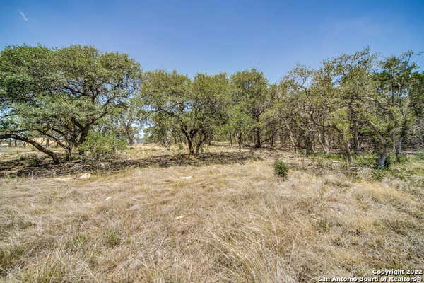 725 LIVE OAK RIDGE RD, BULVERDE, TX 78163, photo 5 of 8