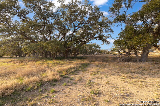 Bulverde, Texas, 78163, United States, 4 Bedrooms Bedrooms, ,5 BathroomsBathrooms,Residential,Active,1757621
