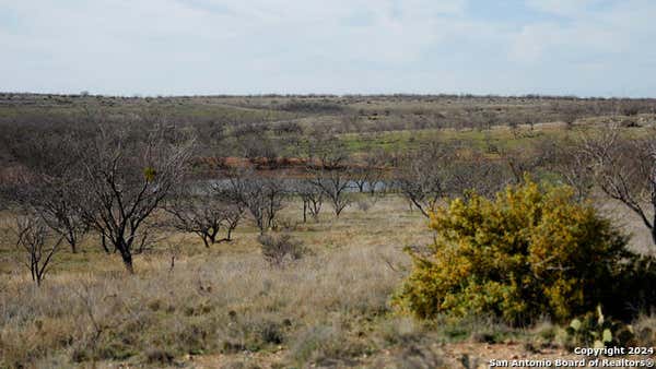 1000 COUNTY ROAD 293, BALLINGER, TX 76821 - Image 1