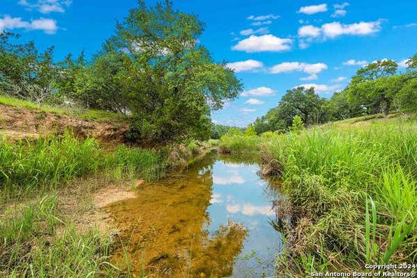 183 TETON LN, FREDERICKSBURG, TX 78624, photo 5 of 99