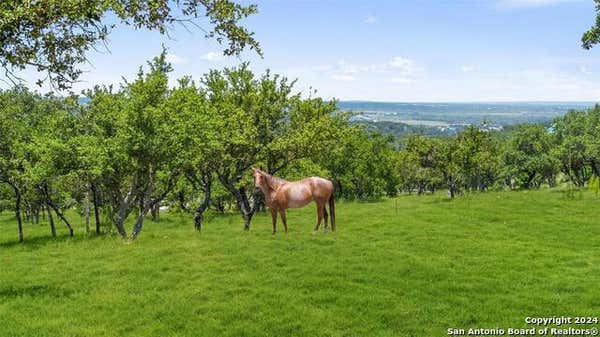 317 SCENIC RIDGE DR, SPICEWOOD, TX 78669 - Image 1