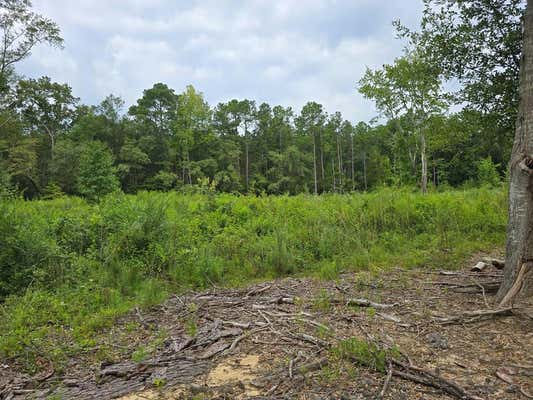 TBD CENTRAL SCHOOL RD, REMBERT, SC 29128 - Image 1