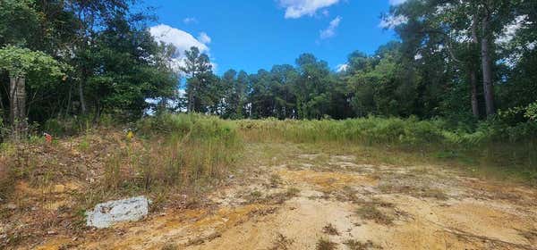 0 DEMPSEY ROAD, COPE, SC 29038 - Image 1