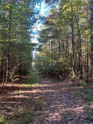 CHERRY HILL LANE, CUMBERLAND, VA 23040 - Image 1