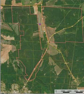 0 HIGHWAY 95 TBD, ABBEVILLE, AL 36310 - Image 1