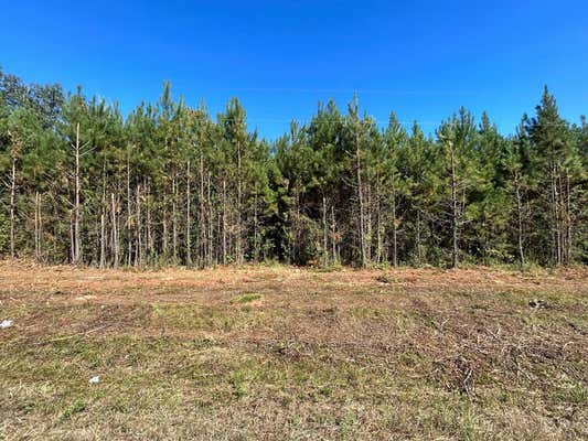 4 +-AC, LOT 11, WILLIE VARNUM RD, COTTONWOOD, AL 36320 - Image 1