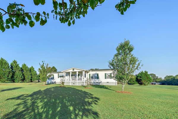 3215 S STATE HIGHWAY 123, NEWTON, AL 36352 - Image 1