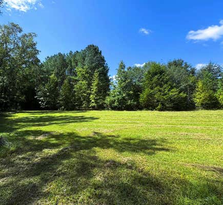 0 COUNTY RD 53, CLIO, AL 36017 - Image 1