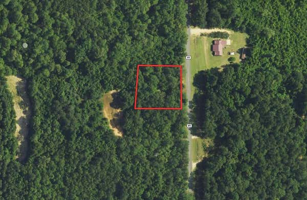 VACANT COUNTY HWY 85, EVERGREEN, AL 36401 - Image 1