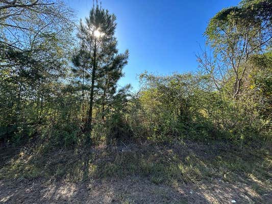 4.892+-AC, LOT 2, WILLIE VARNUM RD, COTTONWOOD, AL 36320 - Image 1