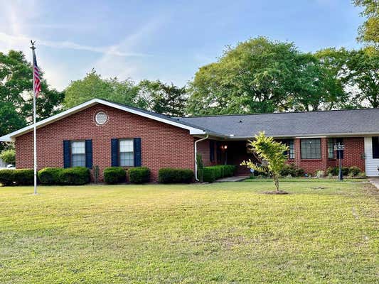 13321 E STATE HIGHWAY 52, HARTFORD, AL 36344 - Image 1