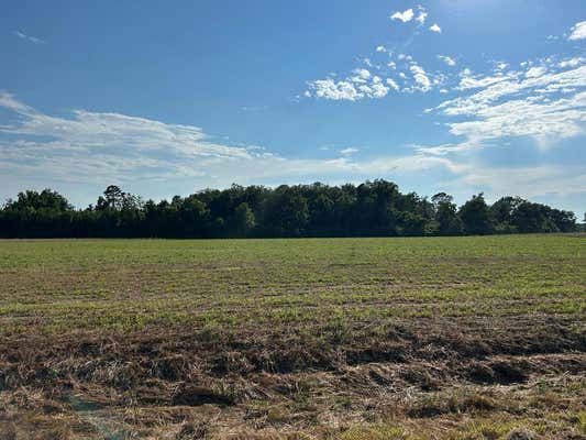 7.198+-AC, LOT 6, WILLIE VARNUM RD, COTTONWOOD, AL 36320 - Image 1