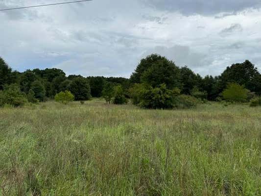 0 PRIVATE ROAD 1539, MIDLAND CITY, AL 36350 - Image 1