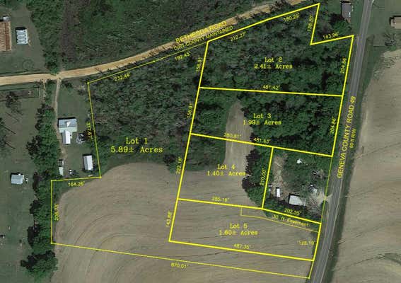 LOT 5 S COUNTY ROAD 49, SLOCOMB, AL 36375 - Image 1