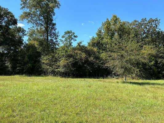 1.92+-AC BARNES RD, GORDON, AL 36343 - Image 1