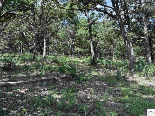 8.3 ACRES BOBCAT, WARSAW, MO 65355, photo 5 of 6