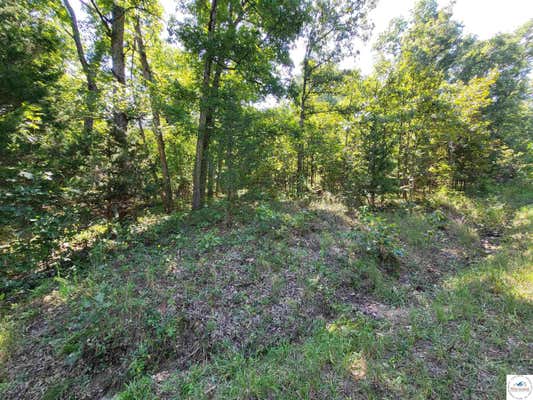 BUSH DRIVE, EDWARDS, MO 65326 - Image 1