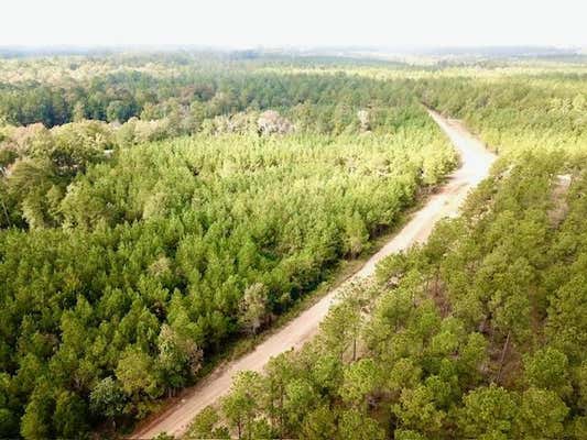 TBD 10.2 +/- AC CR 2310, WOODVILLE, TX 75979 - Image 1