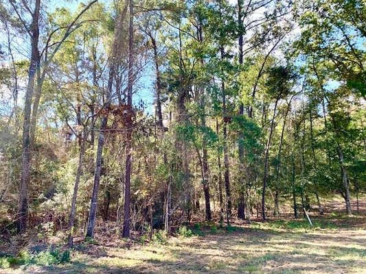 TBD 4.6+/-AC CR 2310, WOODVILLE, TX 75979 - Image 1