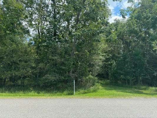 000 PINEWOOD LOT 18, SOUR LAKE, TX 77659 - Image 1