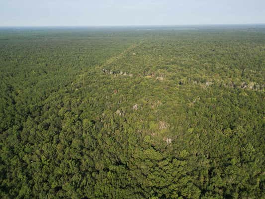 0000 SAPP GRAVEYARD RD, KOUNTZE, TX 77625 - Image 1