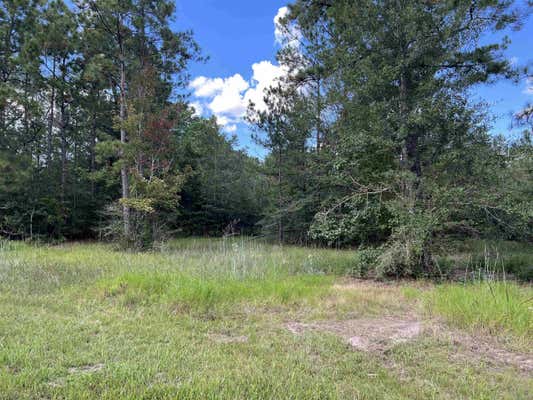 TBD LAIRD RD., KOUNTZE, TX 77625 - Image 1