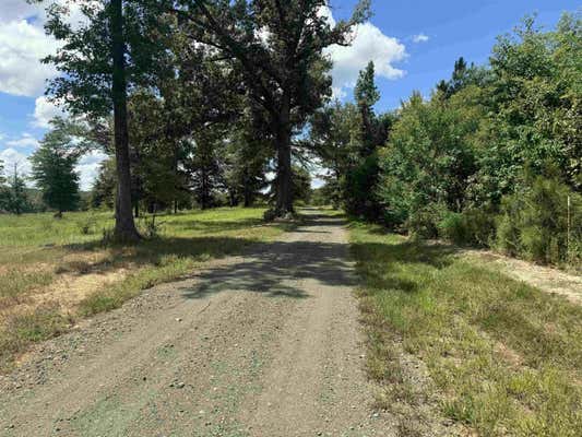 124 COUNTY ROAD 1490, CENTER, TX 75935 - Image 1