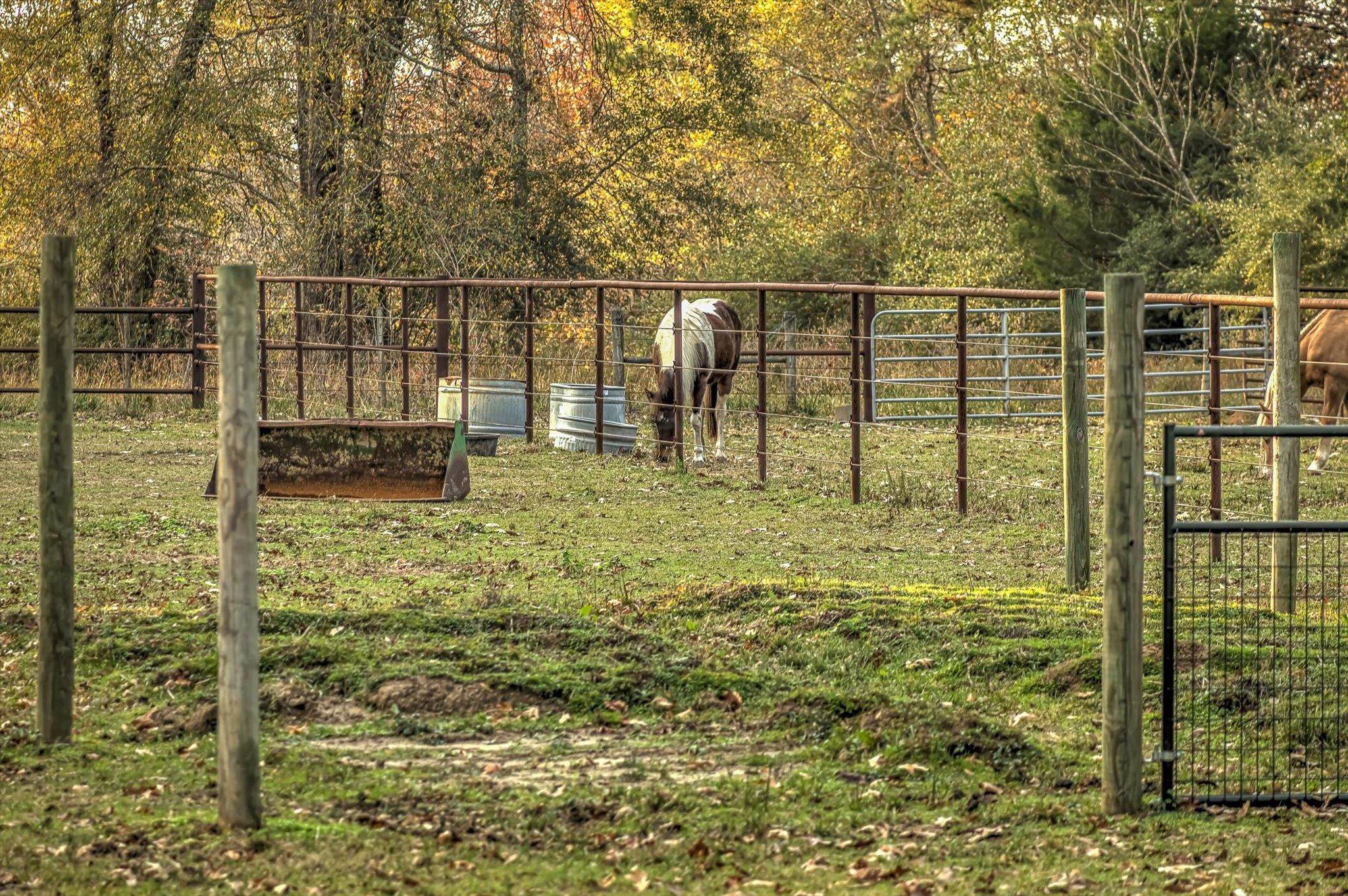 Liberty, Texas, 77575, United States, 7 Bedrooms Bedrooms, ,5 BathroomsBathrooms,Residential,Active,2007217