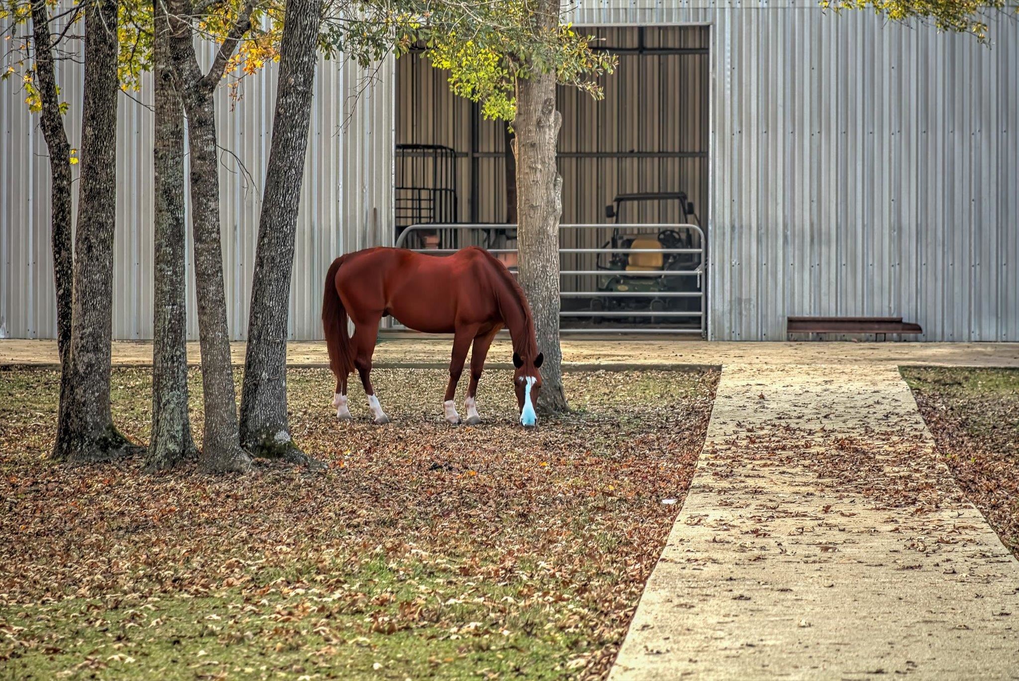 Liberty, Texas, 77575, United States, 7 Bedrooms Bedrooms, ,5 BathroomsBathrooms,Residential,Active,2007217