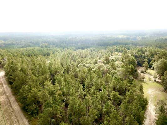 TBD 6.8+/- AC CR 2310, WOODVILLE, TX 75979 - Image 1