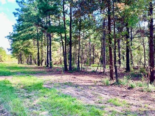 TBD 38.3+/- AC CR 2310, WOODVILLE, TX 75979 - Image 1