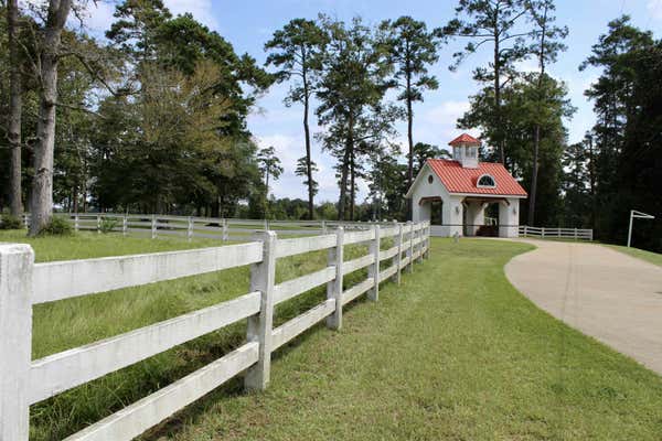 TBD LAKELAND RANCH, HILLISTER, TX 77624 - Image 1