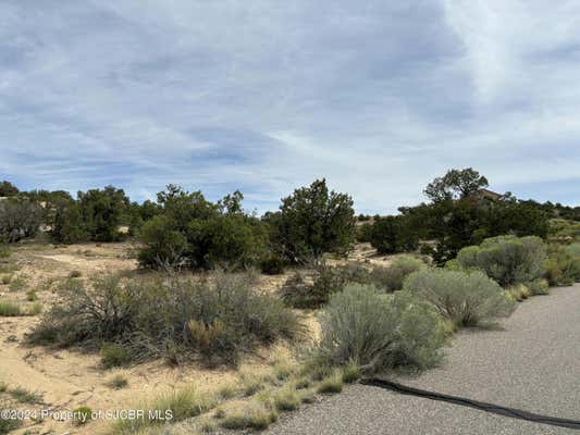 1600 VISTA HERMOSA TRL, FARMINGTON, NM 87401, photo 4 of 13