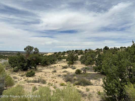 1600 VISTA HERMOSA TRL, FARMINGTON, NM 87401, photo 5 of 13