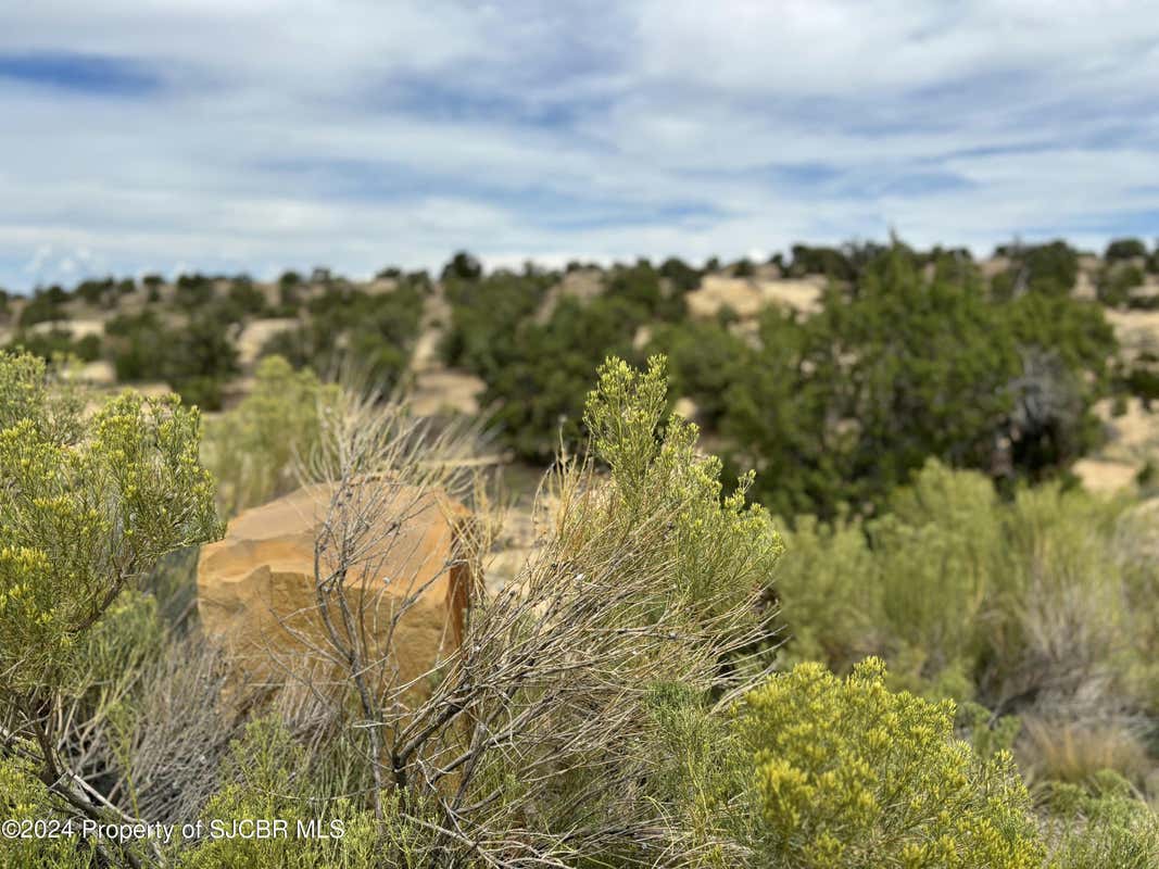 1600 VISTA HERMOSA TRL, FARMINGTON, NM 87401, photo 1 of 13