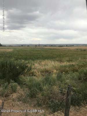 TRACT N3 ROAD 1274, LA PLATA, NM 87418 - Image 1