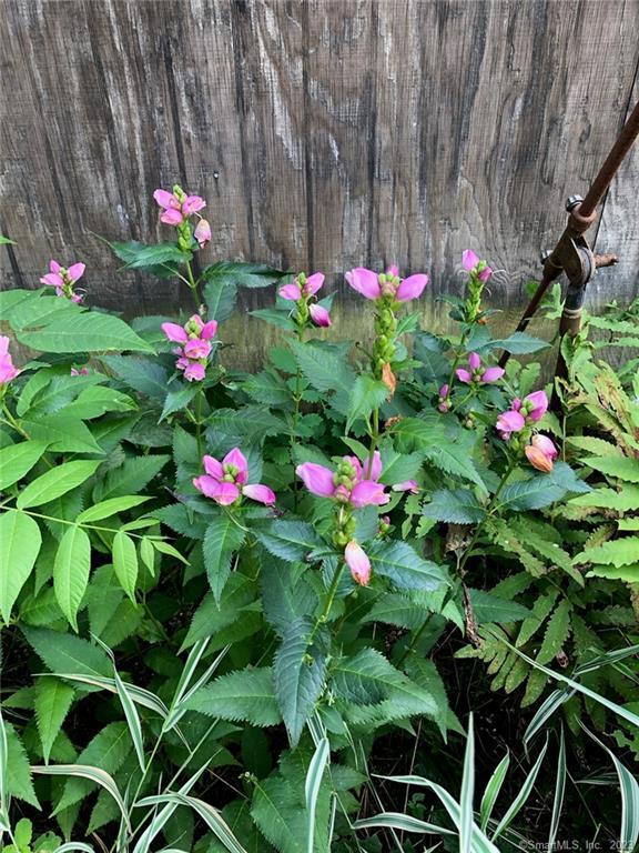 Newtown, Connecticut, 06470, United States, 3 Bedrooms Bedrooms, ,2 BathroomsBathrooms,Residential,Active,1967111