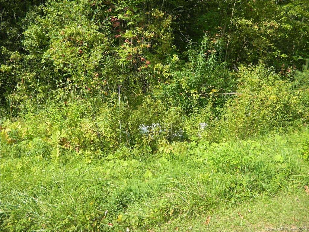 LOT 477 SHERBROOK DRIVE, GOSHEN, CT 06756, photo 1 of 13