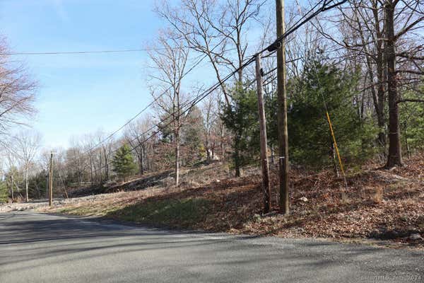 190 BLUEBERRY HILL RD, BRIDGEWATER, CT 06752 - Image 1