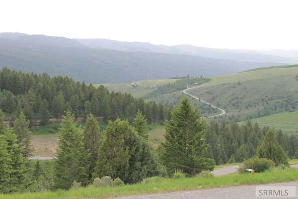 TBD PALISADE DRIVE, IRWIN, ID 83428 - Image 1