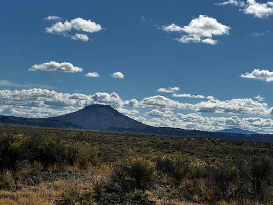 CHRISTMAS VALLEY HWY 2800 TL, CHRISTMAS VALLEY, OR 97641, photo 2 of 15