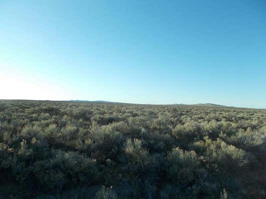 LOT 100 FOSSIL LAKE ROAD # LOT 100, CHRISTMAS VALLEY, OR 97641 - Image 1