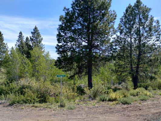 LOT 9 CANADIAN HONKER LANE, SPRAGUE RIVER, OR 97639 - Image 1