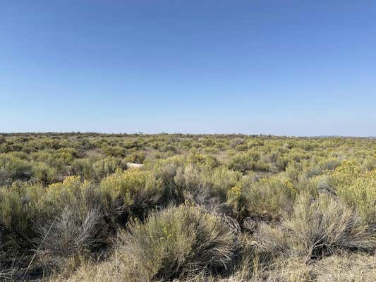 0- SALT FLAT (APN: 1320) LANE, CHRISTMAS VALLEY, OR 97641 - Image 1