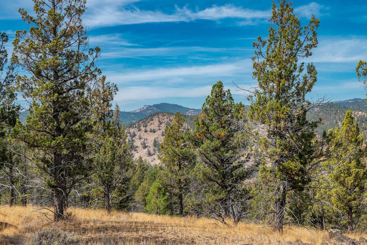 15315 NE SCHNEIDER WAY, PRINEVILLE, OR 97754, photo 1 of 37